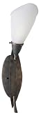 American Fluorescent IRS113ETEC Iris Wall Sconce, Earth Tone Finish