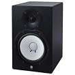 8" Monitor Speaker