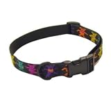 Dancing Bears Dog Collar Large