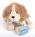 cocker spaniel - Webkinz Cocker Spaniel