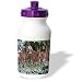 Pine Valley
Jos Fauxtographee Realistic - Six Deer In Yard In Pine Valley, Utah Done in Vibrant Color of Green and White Snow - Water Bottles