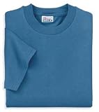 NEW Hanes Beefy-T - Born To Be Worn 100% Cotton T-Shirt Bluestone-3XL