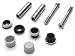 Automotive : Raybestos H16091 Bushing Kit