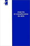 Insectes et champignons du bois