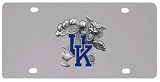 Logo License Plate, Kentucky Wildcats