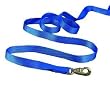 Hamilton Deluxe 7' x 1" Nylon Lead Shank, Blue