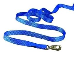 Hamilton Deluxe 7' x 1" Nylon Lead Shank, Blue