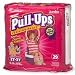 Health & Personal Care : Huggies Pull-Ups Training Pants,Girls Jumbo Pack, Medium Size 2T-3T, 21411 - 29 diapers / pack, 4packs