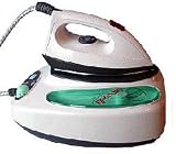 Steam generator iron