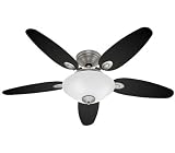 31GHkSeGPlL. SL160  Hunter Fans 28872 48 Paxton Contemporary Indoor Antique Pewter Ceiling Fan w/ Light & Blades