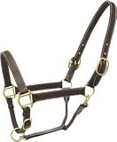 Abetta Leather Show Halter