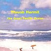 The Great Pacific Ocean