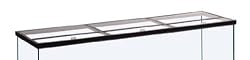 Glass Canopy, 20" x 10"