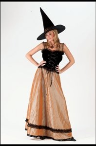 Witch Elegant Gold Small/Medium Costume