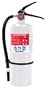 First Alert FE2A10GR Compliance Fire Extinguisher