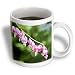 Vine of Bleeding Hearts - Pink Flowers -Spring Photography - 11oz Mug