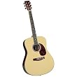 Saga SPG-1 Studio Pro Acoustic Guitar Outfit