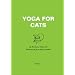 Kitty Gift Guide