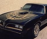 1976-78 Trans Am BLACK Limited Edition Kit (w/premolded stripes)- GOLD