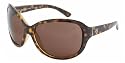 DOLCE & GABBANA D&G 8053 DD 8053 502/73 HAVANA BROWN SHADES SUNGLASSES