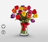 Tulip - Rembrandts Dream