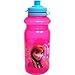 ZAK DESIGNS FZNC-0070 Fr ozen Water Bottle, 18 oz