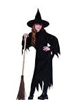 Velvet Witch Costume