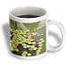 Lily Pads with Pink Lotus Flowers Spirituality - 15oz Mug