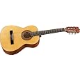 Jasmine by Takamine JS241 Acoustic Guitar Pack