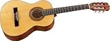 Jasmine by Takamine JS241 Acoustic Guitar Pack