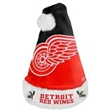 Detroit Red Wings Santa Hat - 2011 Colorblock Design