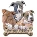 Pit Bull Puppies Adult T-Shirt