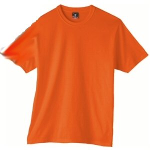 Fitted Beefy T-Shirt