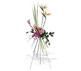 Teleflora's Tropical Paradise Spray