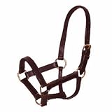 Leather Mini Foal Halter