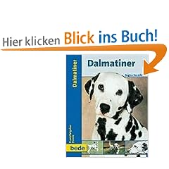 Dalmatiner, Praxisratgeber