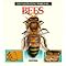 Bee-ology...
