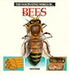 The Fascinating World of Bees