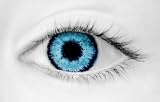 True Blue thumbnail