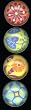iPop Clicks Deco Flowers 4-Pack Magnet Set