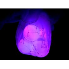 Fortune ProductsR-ORB Rainbow Orb LED Light, 3 1/4" Diameter