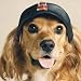 Pet Supplies : Cap Biker - Large