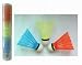 Assorted Color Training Plastic Shuttlecock(Price/dozen), Shuttle Cocks, Badminton