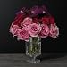 Roses - David Beahm New York