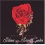 Silence in the Secret Garden