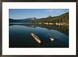 Calm water with submerged log on a mountain lake Subject Framed Art Poster Print by Michael S. Lewis, 29x21