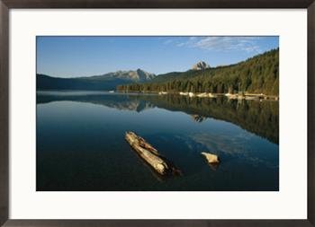 Calm water with submerged log on a mountain lake Photography Framed Art Poster Print by Michael S. Lewis, 29x21