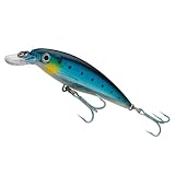 Review Rapala  / Rapala X Rap Saltwater Lure 10Cm Ayu