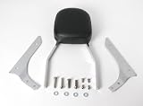 Cobra Standard Sissy Bar 02-5105