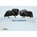 Wild Wonders of Europe in 365 Bildern